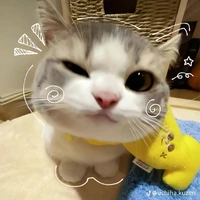 Cà riiii