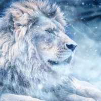 Lãnh Hàn dạng thú