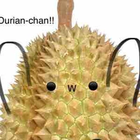 Durian Chan >W<