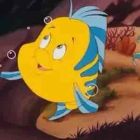 Flounder 