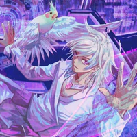 hiha hologram