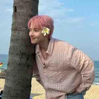 Hoàng Hùng - Gemini