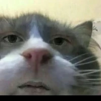 tác giả bị khùng