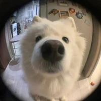 Nho đâyyy~