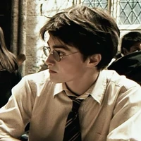 Harry James Potter (quá khứ)