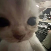 Tác giả hay chán