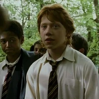 Ronald Bilius Weasley