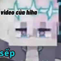 Hiha HDĐV