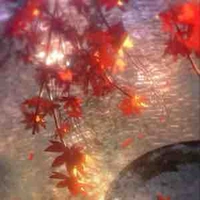 HT phụ 067 ( Lucia) cũng là tui lun