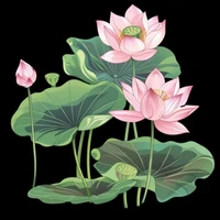 lớp 11A5