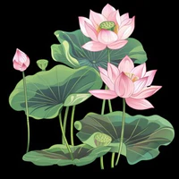 lớp 11A5