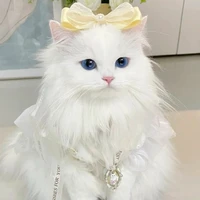 Leyla