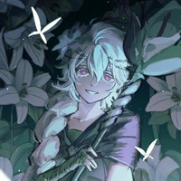 White Lily