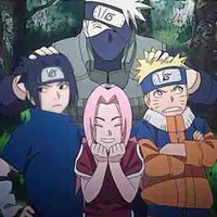 team 7