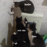 t/g