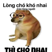 ng bí ẩn