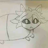 Shawn(Mèo)