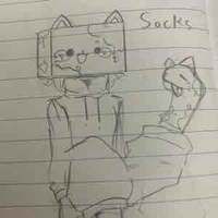 🧦Socks🧦