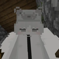 Nhím xù xì 