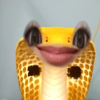 t là t/g