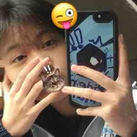 Dipplap [tác giả]