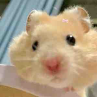 Gbeo cutee