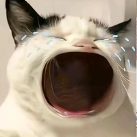 Tác giả hay ngại