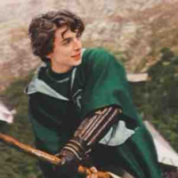 Regulus Black