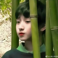 Nghiêm Dương Vũ [Anh Tư]