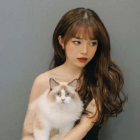 Linh Ngọc Đàm