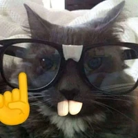 nhỏ này là nhỏ tác giả