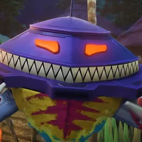 Probe