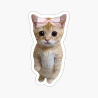 Tác giả xwmeooo