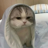 tác giả