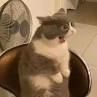 kemny