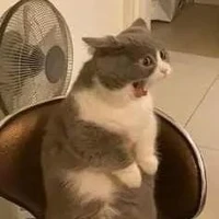kemny