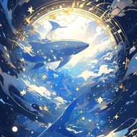 Hệ thống 0104 (Kujira)