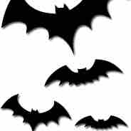 🦇