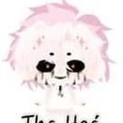 🤍hihaTH🤍
