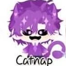 ✨catnap✨