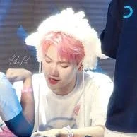 Nguyễn thái sơn | jsol