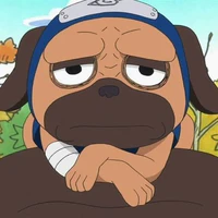 Pakkun
