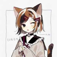 Hệ thống 303( ruko )