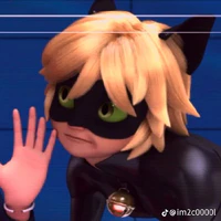 cat noir