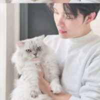 Trần Đăng Dương_Dương Domic