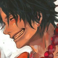 Pogast D Ace