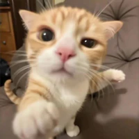Tác giả