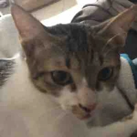 all[trừ những ai cần trừ]