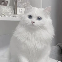 An An