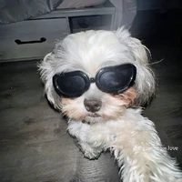Tác giả